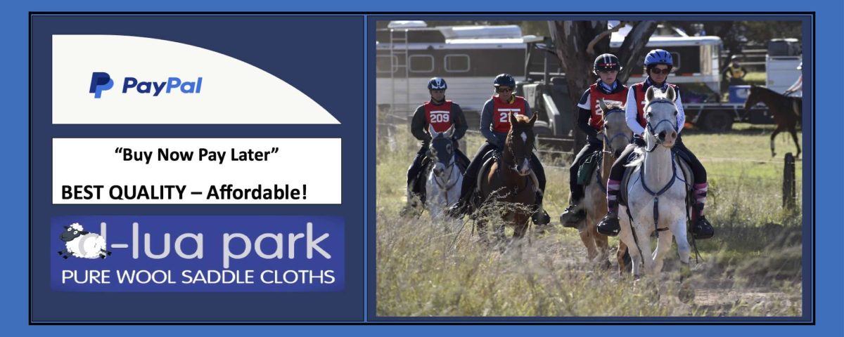 Paypal pay in 4 - Endurance Horse Riding with D-Lua Park Saddle Cloths hero image