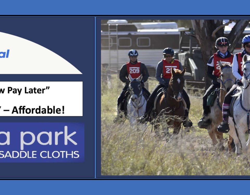 Paypal pay in 4 - Endurance Horse Riding with D-Lua Park Saddle Cloths hero image
